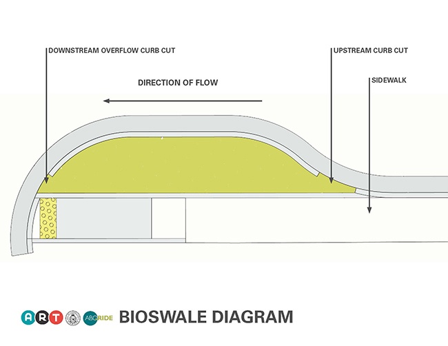 BIOSWALE-diagram-albuquerque-rapid-transit-art Bioswales remove pollution from surface runoff.