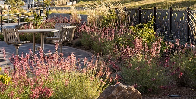 Presbyterian-Santa-Fe-Medical-Center-Landscape-090 Presbyterian-Santa-Fe-Medical-Center-Landscape-090