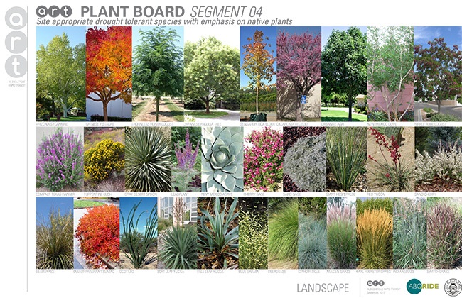 albuquerque-rapid-transit-art-plant-board Plant diversity improves the health of urban vegetation and the wildlife that depends on it.