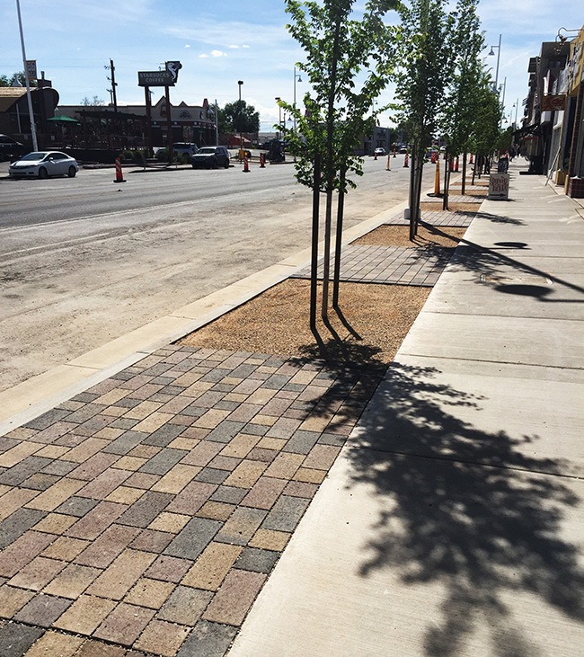 Close-up of Pavers and Crusher Fine, which allow rainwater to permeate and reach tree roots.